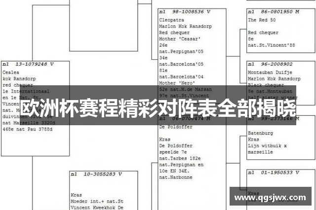 欧洲杯赛程精彩对阵表全部揭晓